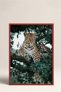 HOMEPACK Ahşap Çerçeveli Tablo Çerçeveli Poster Sanatsal Modern Duvar Dekoru BEK-8187