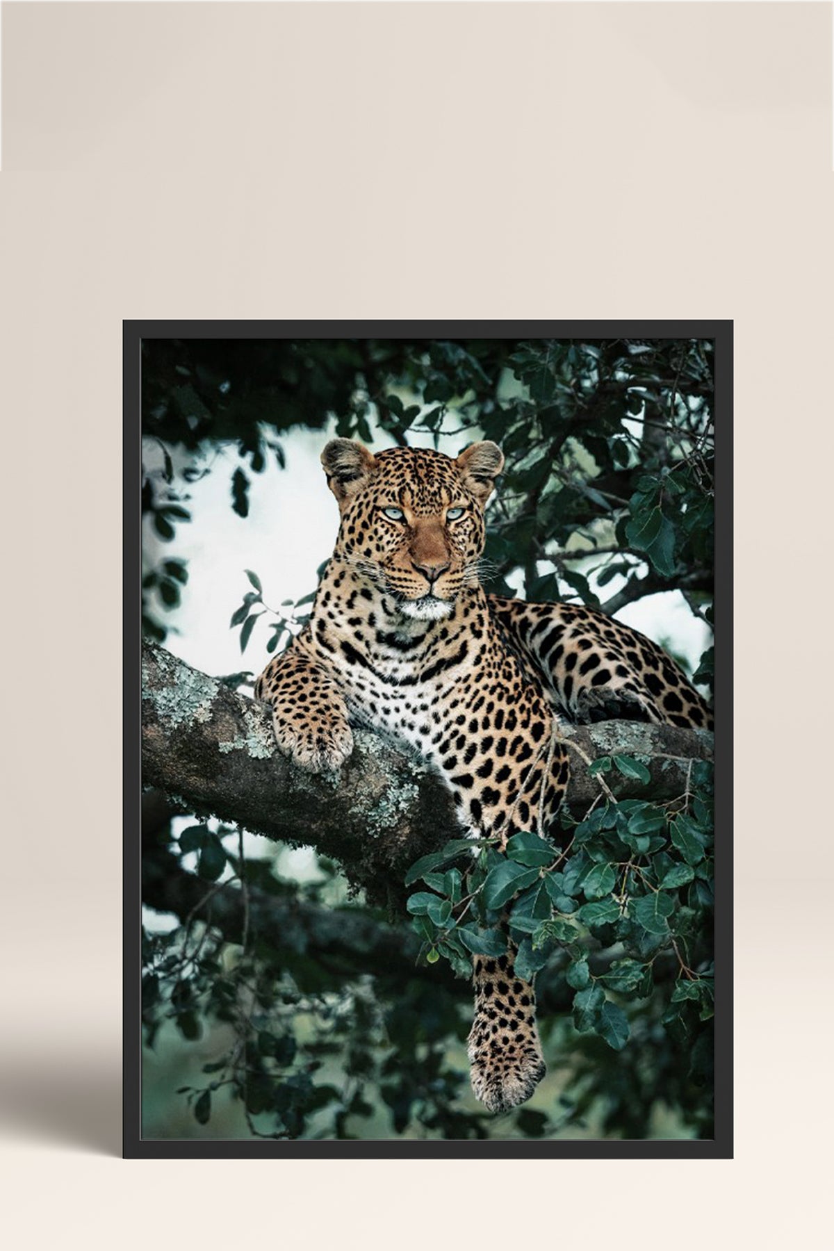 HOMEPACK Ahşap Çerçeveli Tablo Çerçeveli Poster Sanatsal Modern Duvar Dekoru BEK-8187