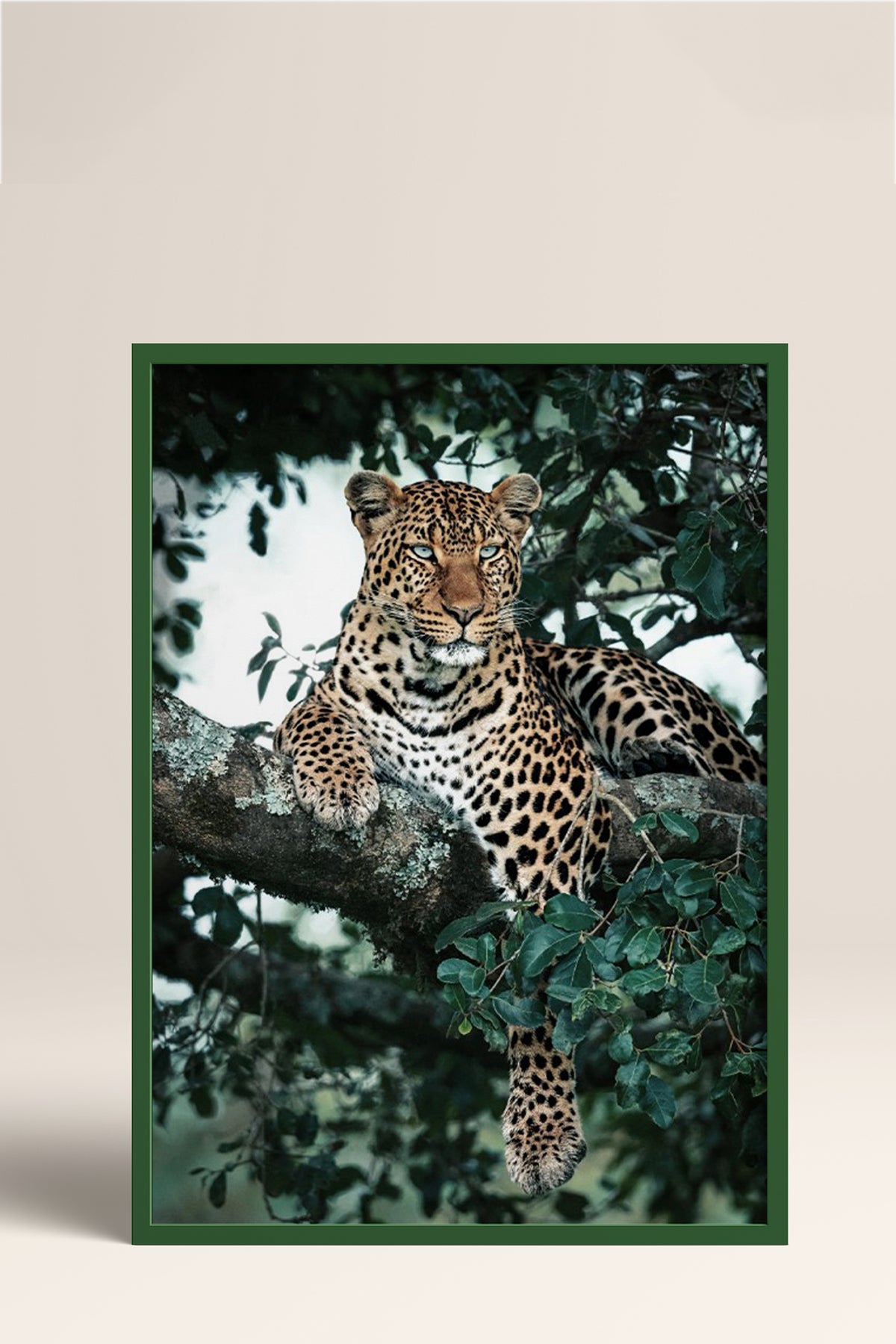 HOMEPACK Ahşap Çerçeveli Tablo Çerçeveli Poster Sanatsal Modern Duvar Dekoru BEK-8187
