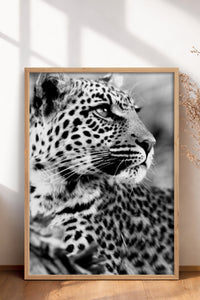 HOMEPACK Ahşap Çerçeveli Tablo Çerçeveli Poster Sanatsal Modern Duvar Dekoru BEK-8189