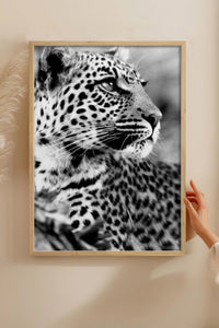 HOMEPACK Ahşap Çerçeveli Tablo Çerçeveli Poster Sanatsal Modern Duvar Dekoru BEK-8189