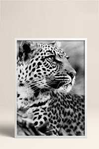HOMEPACK Ahşap Çerçeveli Tablo Çerçeveli Poster Sanatsal Modern Duvar Dekoru BEK-8189