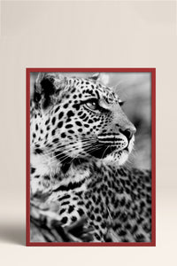 HOMEPACK Ahşap Çerçeveli Tablo Çerçeveli Poster Sanatsal Modern Duvar Dekoru BEK-8189