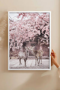 HOMEPACK Ahşap Çerçeveli Tablo Çerçeveli Poster Sanatsal Modern Duvar Dekoru BEK-8191