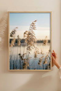 HOMEPACK Ahşap Çerçeveli Tablo Çerçeveli Poster Sanatsal Modern Duvar Dekoru BEK-8196