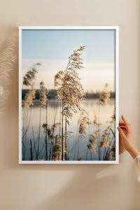 HOMEPACK Ahşap Çerçeveli Tablo Çerçeveli Poster Sanatsal Modern Duvar Dekoru BEK-8196