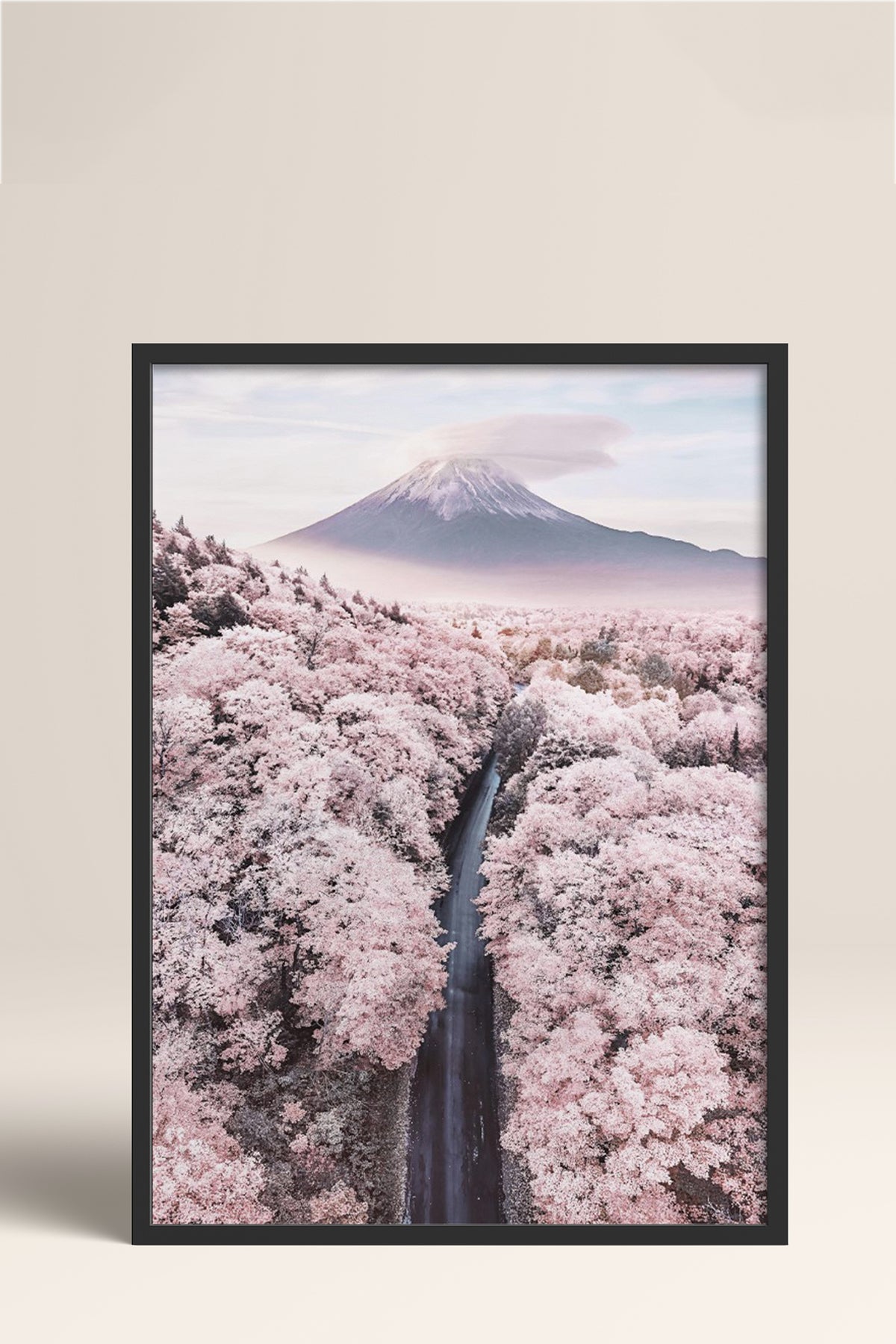 HOMEPACK Ahşap Çerçeveli Tablo Çerçeveli Poster Sanatsal Modern Duvar Dekoru BEK-8227
