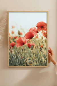 HOMEPACK Ahşap Çerçeveli Tablo Çerçeveli Poster Sanatsal Modern Duvar Dekoru BEK-8235