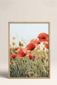 HOMEPACK Ahşap Çerçeveli Tablo Çerçeveli Poster Sanatsal Modern Duvar Dekoru BEK-8235
