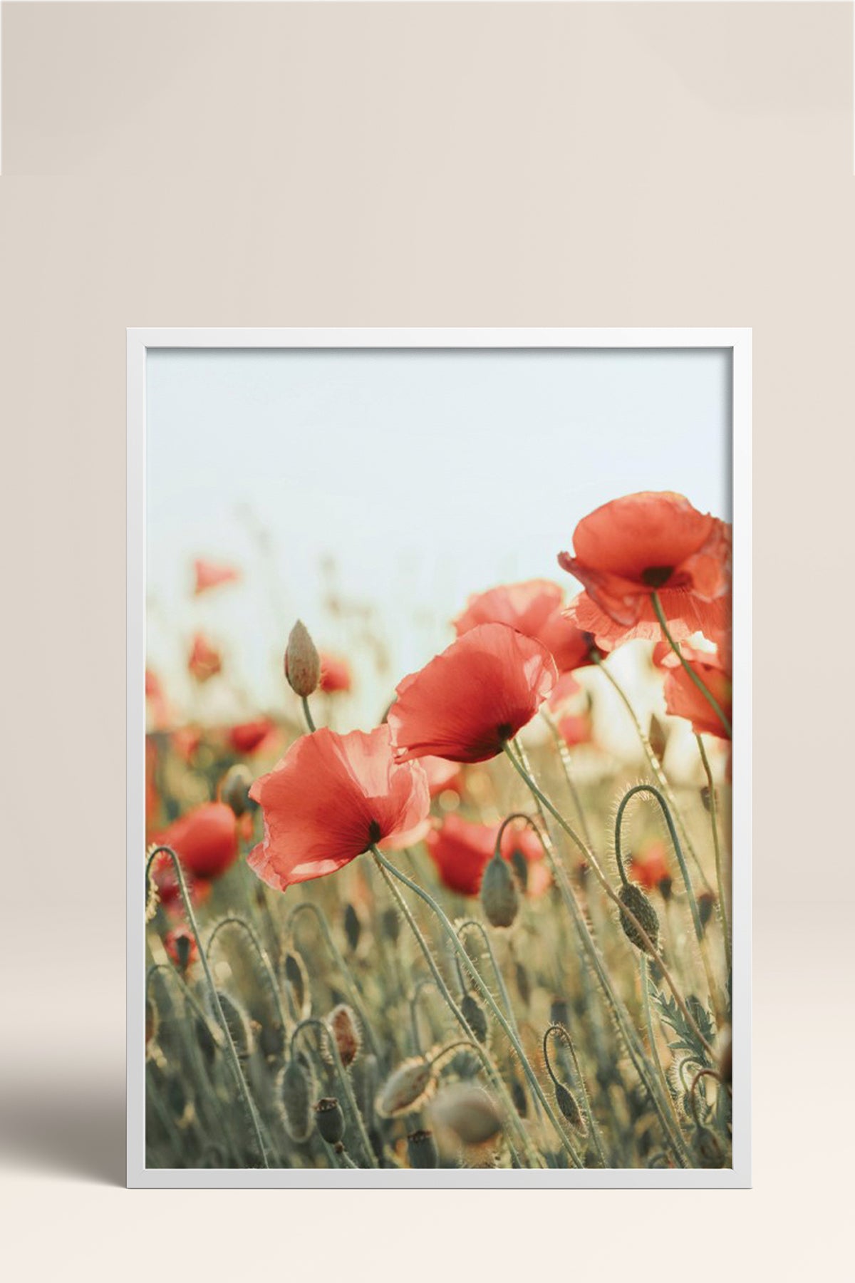 HOMEPACK Ahşap Çerçeveli Tablo Çerçeveli Poster Sanatsal Modern Duvar Dekoru BEK-8235
