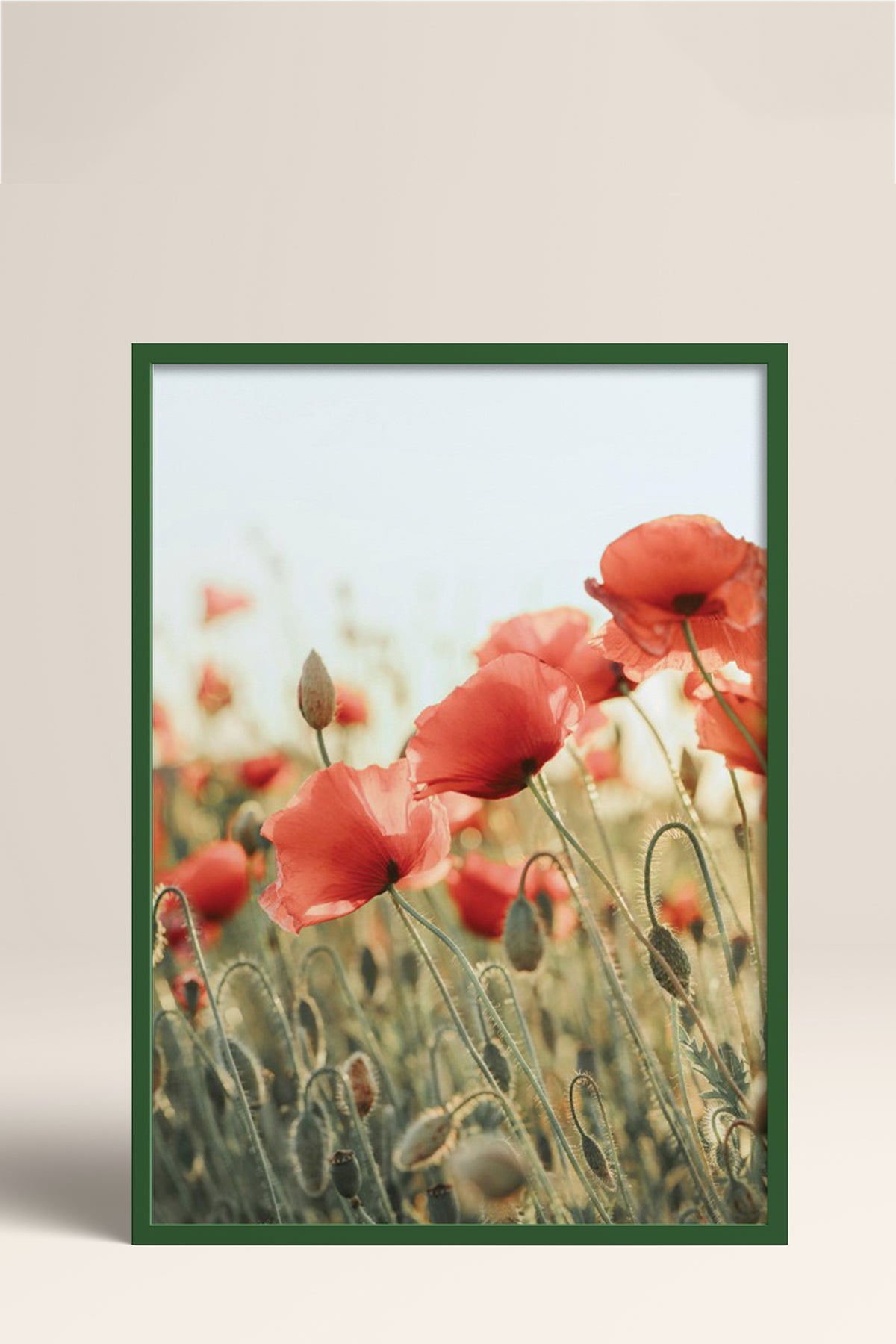 HOMEPACK Ahşap Çerçeveli Tablo Çerçeveli Poster Sanatsal Modern Duvar Dekoru BEK-8235