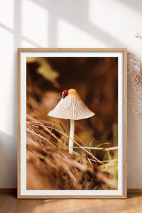 HOMEPACK Ahşap Çerçeveli Tablo Çerçeveli Poster Sanatsal Modern Duvar Dekoru BEK-8281