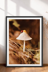 HOMEPACK Ahşap Çerçeveli Tablo Çerçeveli Poster Sanatsal Modern Duvar Dekoru BEK-8281