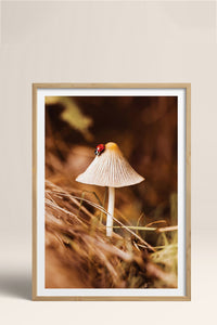 HOMEPACK Ahşap Çerçeveli Tablo Çerçeveli Poster Sanatsal Modern Duvar Dekoru BEK-8281