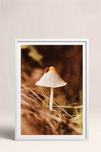 HOMEPACK Ahşap Çerçeveli Tablo Çerçeveli Poster Sanatsal Modern Duvar Dekoru BEK-8281