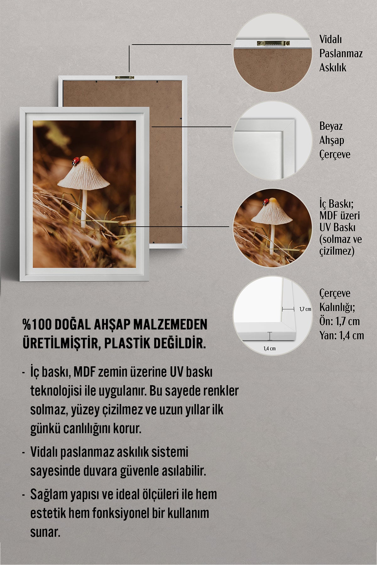 HOMEPACK Ahşap Çerçeveli Tablo Çerçeveli Poster Sanatsal Modern Duvar Dekoru BEK-8281