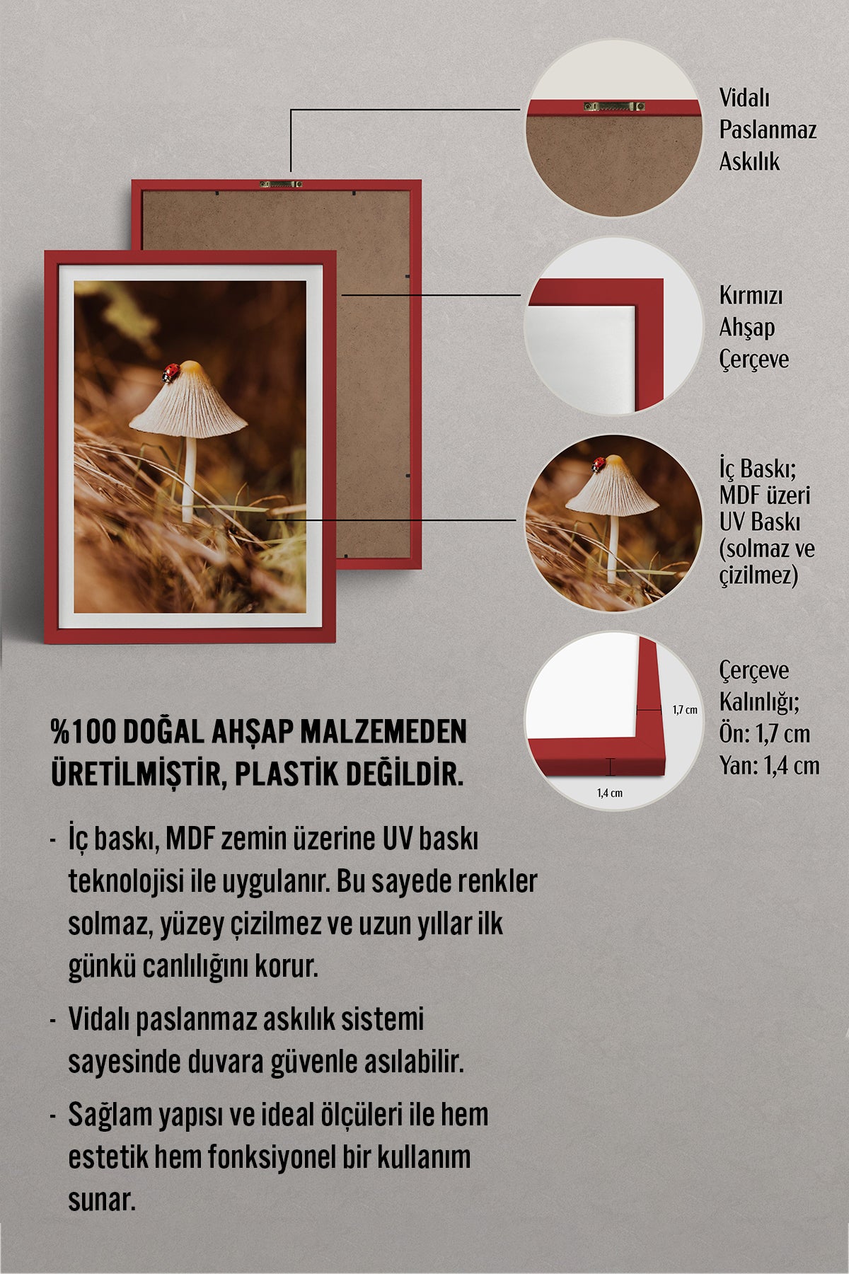 HOMEPACK Ahşap Çerçeveli Tablo Çerçeveli Poster Sanatsal Modern Duvar Dekoru BEK-8281