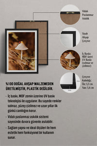 HOMEPACK Ahşap Çerçeveli Tablo Çerçeveli Poster Sanatsal Modern Duvar Dekoru BEK-8281