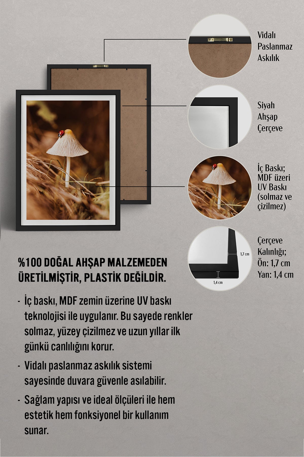 HOMEPACK Ahşap Çerçeveli Tablo Çerçeveli Poster Sanatsal Modern Duvar Dekoru BEK-8281