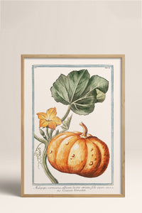 HOMEPACK Ahşap Çerçeveli Tablo Çerçeveli Poster Sanatsal Modern Duvar Dekoru BEK-8282