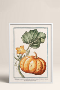 HOMEPACK Ahşap Çerçeveli Tablo Çerçeveli Poster Sanatsal Modern Duvar Dekoru BEK-8282