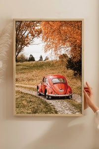 HOMEPACK Ahşap Çerçeveli Tablo Çerçeveli Poster Sanatsal Modern Duvar Dekoru BEK-8290