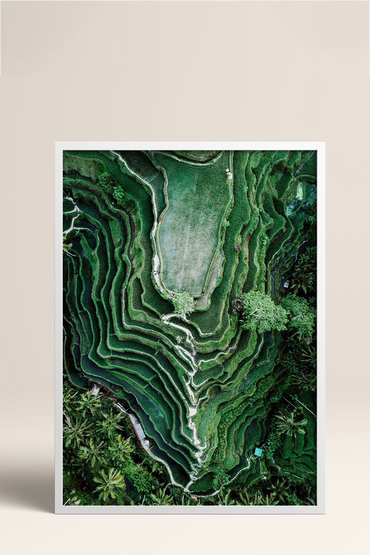 HOMEPACK Ahşap Çerçeveli Tablo Çerçeveli Poster Sanatsal Modern Duvar Dekoru BEK-8297