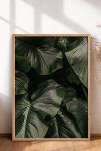 HOMEPACK Ahşap Çerçeveli Tablo Çerçeveli Poster Sanatsal Modern Duvar Dekoru BEK-8300