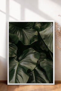 HOMEPACK Ahşap Çerçeveli Tablo Çerçeveli Poster Sanatsal Modern Duvar Dekoru BEK-8300