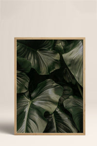 HOMEPACK Ahşap Çerçeveli Tablo Çerçeveli Poster Sanatsal Modern Duvar Dekoru BEK-8300