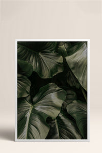 HOMEPACK Ahşap Çerçeveli Tablo Çerçeveli Poster Sanatsal Modern Duvar Dekoru BEK-8300