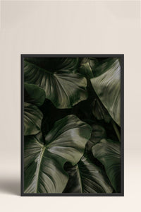 HOMEPACK Ahşap Çerçeveli Tablo Çerçeveli Poster Sanatsal Modern Duvar Dekoru BEK-8300