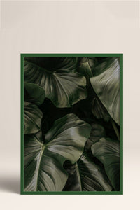 HOMEPACK Ahşap Çerçeveli Tablo Çerçeveli Poster Sanatsal Modern Duvar Dekoru BEK-8300