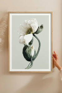 HOMEPACK Ahşap Çerçeveli Tablo Çerçeveli Poster Sanatsal Modern Duvar Dekoru BEK-8308