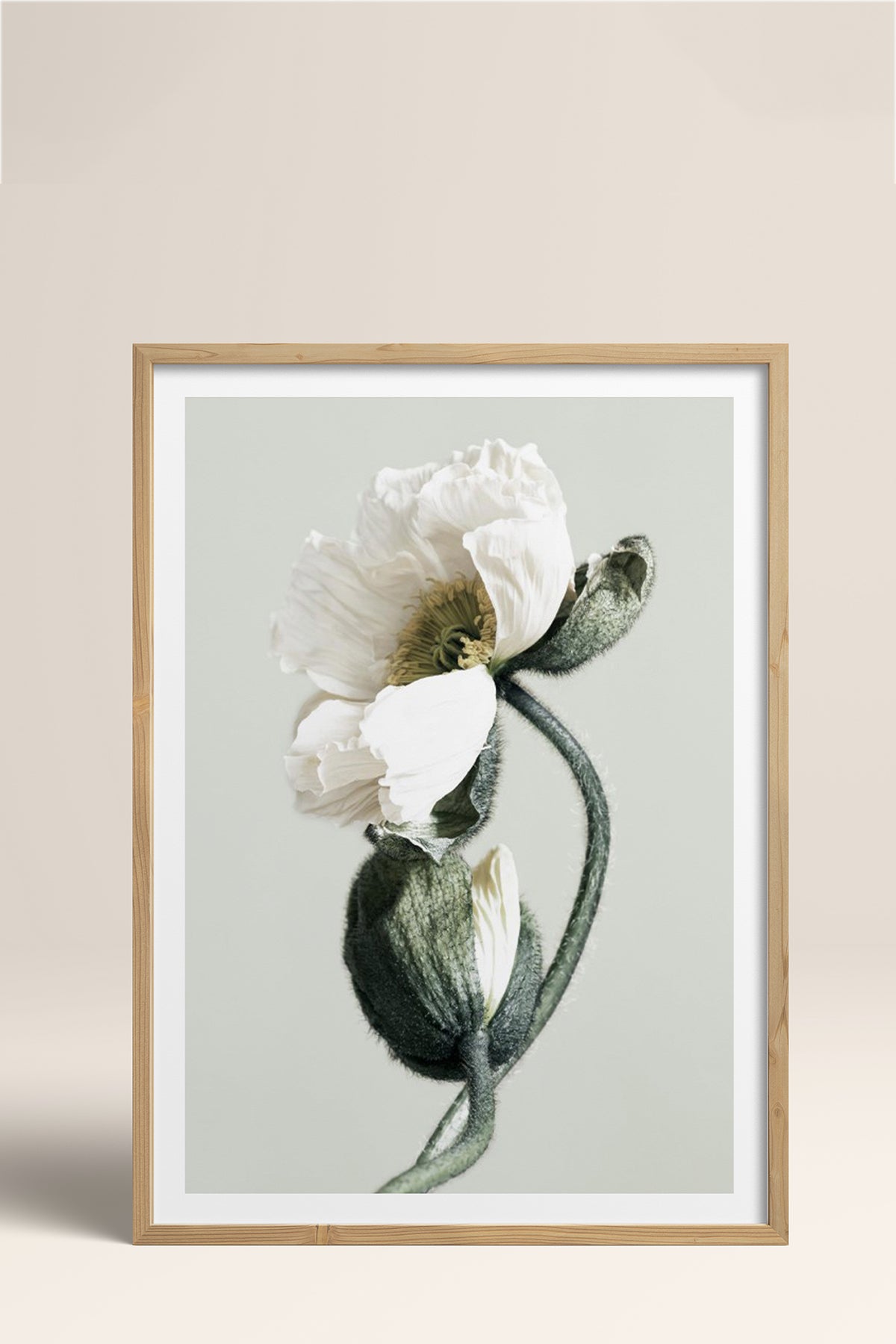 HOMEPACK Ahşap Çerçeveli Tablo Çerçeveli Poster Sanatsal Modern Duvar Dekoru BEK-8308