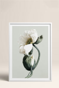 HOMEPACK Ahşap Çerçeveli Tablo Çerçeveli Poster Sanatsal Modern Duvar Dekoru BEK-8308