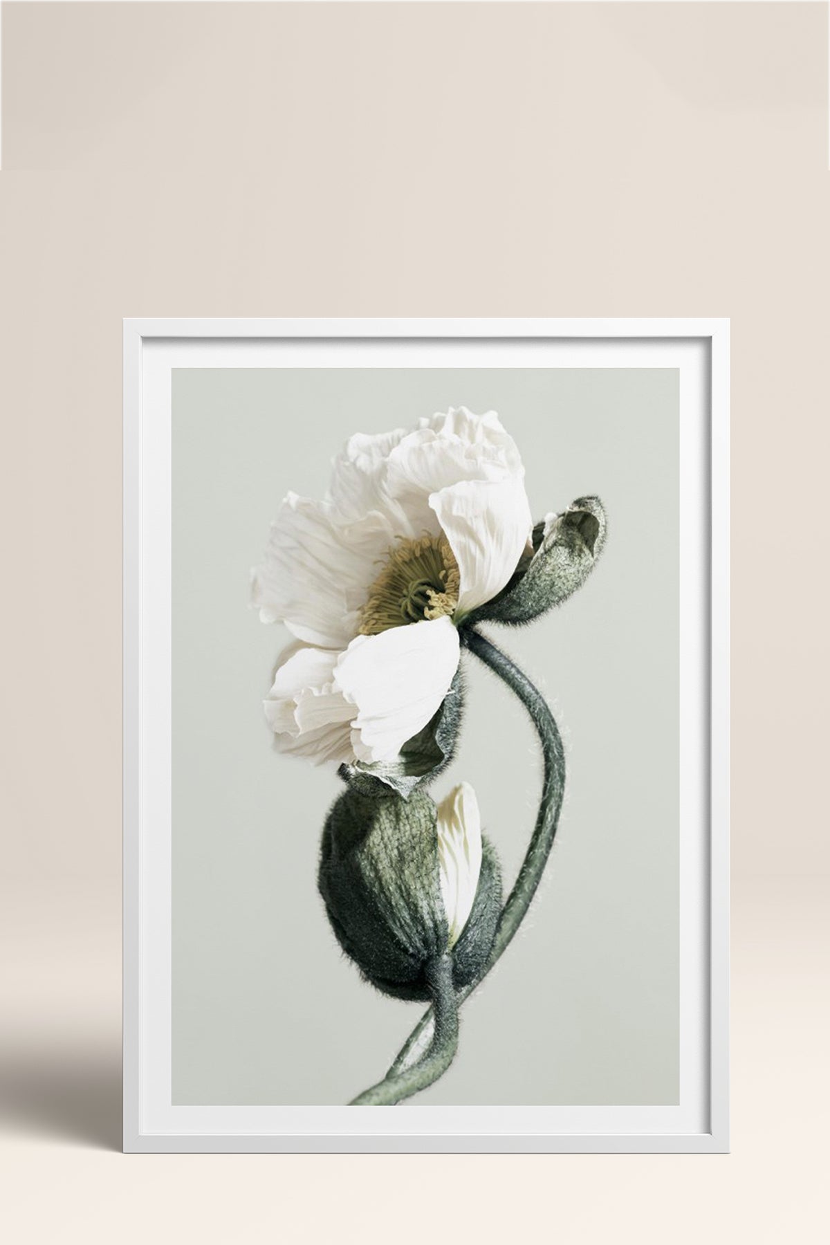 HOMEPACK Ahşap Çerçeveli Tablo Çerçeveli Poster Sanatsal Modern Duvar Dekoru BEK-8308