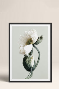 HOMEPACK Ahşap Çerçeveli Tablo Çerçeveli Poster Sanatsal Modern Duvar Dekoru BEK-8308