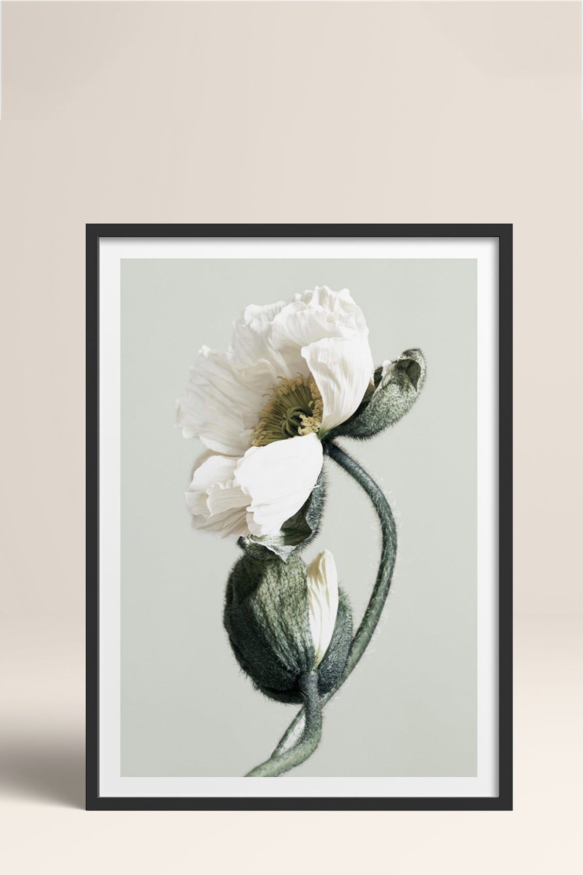HOMEPACK Ahşap Çerçeveli Tablo Çerçeveli Poster Sanatsal Modern Duvar Dekoru BEK-8308