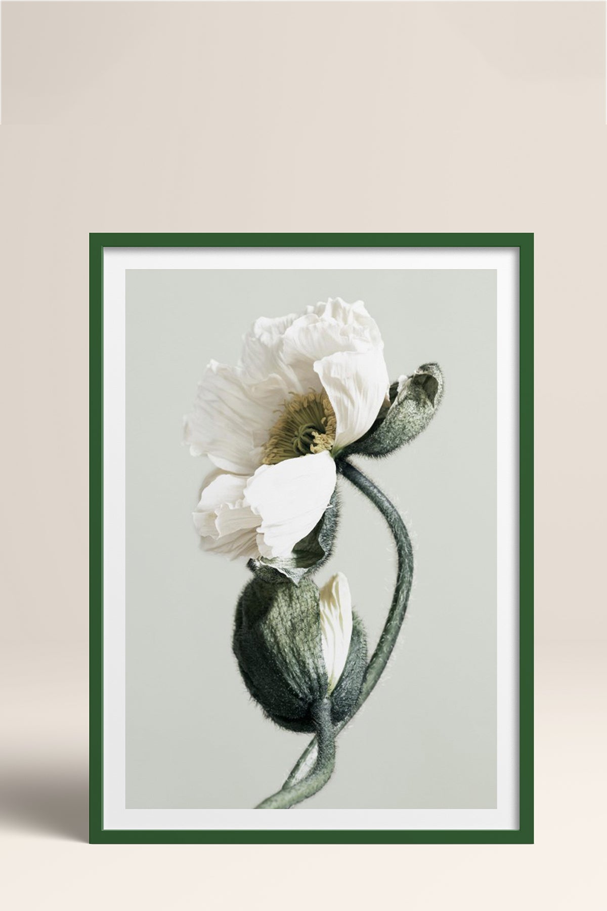 HOMEPACK Ahşap Çerçeveli Tablo Çerçeveli Poster Sanatsal Modern Duvar Dekoru BEK-8308
