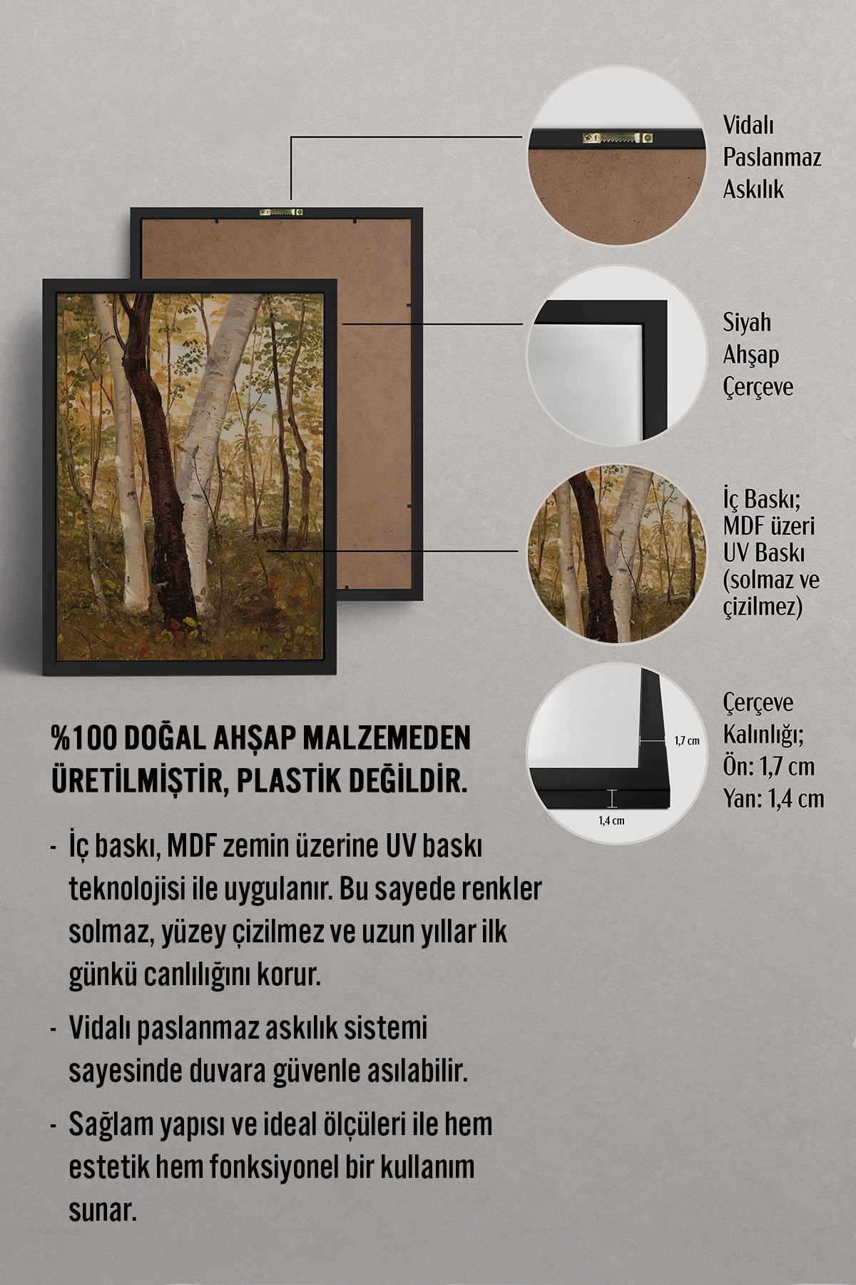HOMEPACK Ahşap Çerçeveli Tablo Çerçeveli Poster Sanatsal Modern Duvar Dekoru BEK-8317