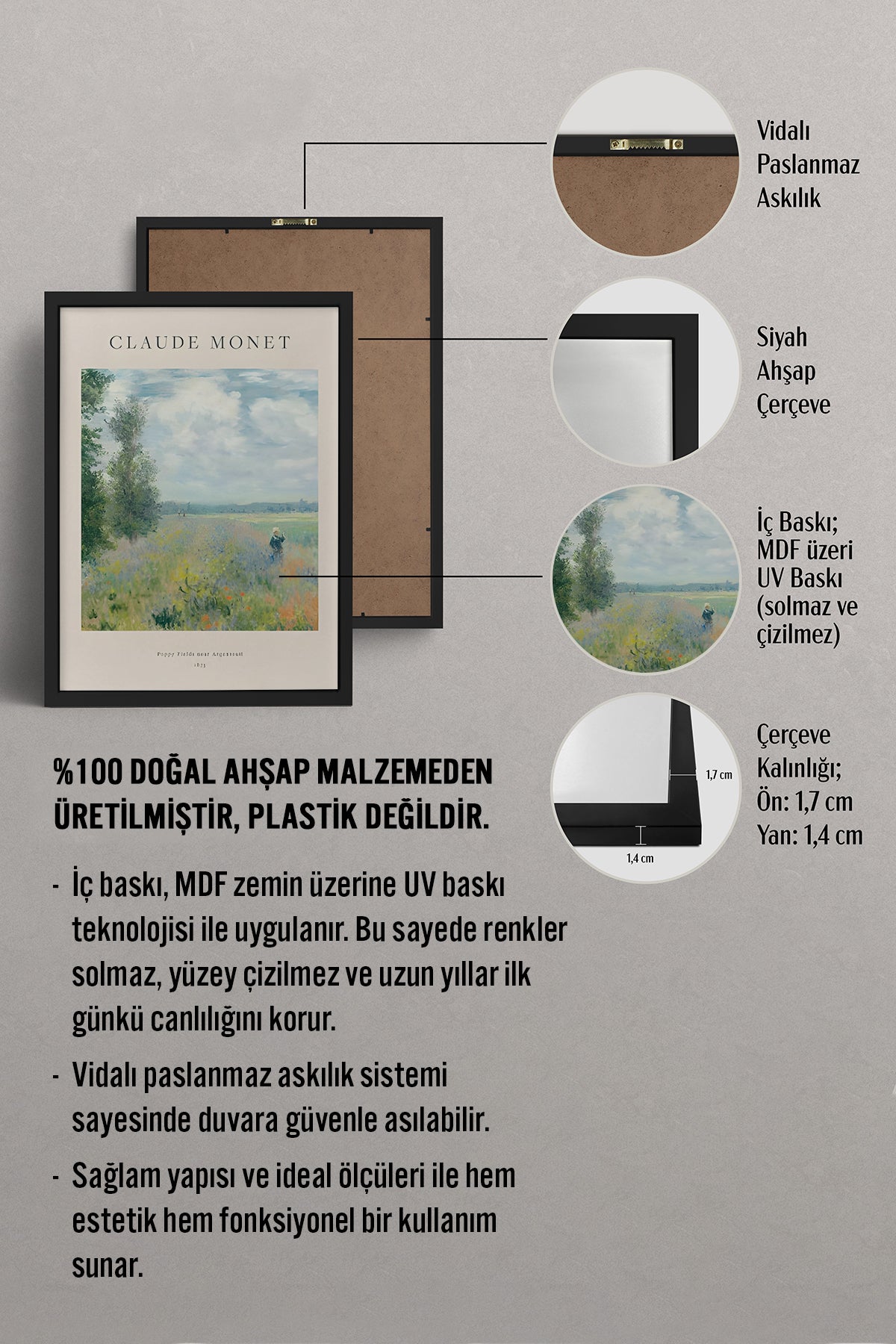 HOMEPACK Ahşap Çerçeveli Tablo Çerçeveli Poster Sanatsal Modern Duvar Dekoru BEK-8382