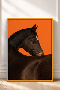 HOMEPACK Ahşap Çerçeveli Tablo Çerçeveli Poster Sanatsal Modern Duvar Dekoru BEK-8413
