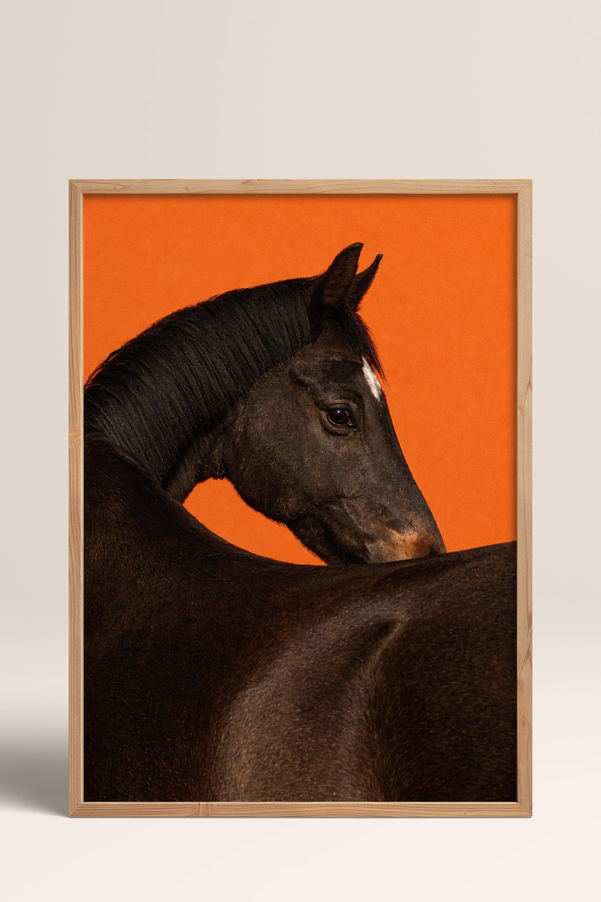 HOMEPACK Ahşap Çerçeveli Tablo Çerçeveli Poster Sanatsal Modern Duvar Dekoru BEK-8413
