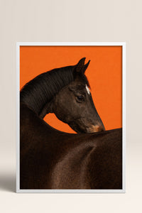 HOMEPACK Ahşap Çerçeveli Tablo Çerçeveli Poster Sanatsal Modern Duvar Dekoru BEK-8413