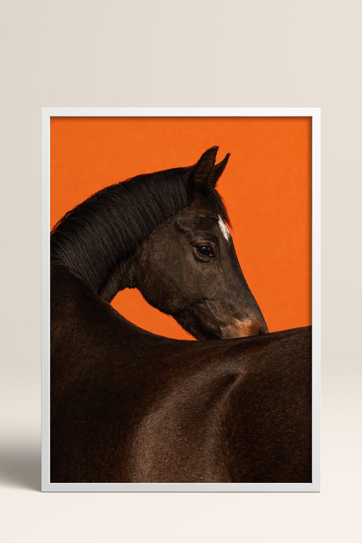 HOMEPACK Ahşap Çerçeveli Tablo Çerçeveli Poster Sanatsal Modern Duvar Dekoru BEK-8413