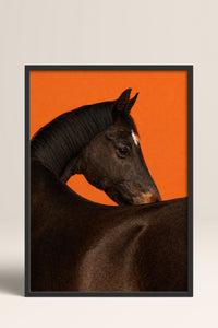 HOMEPACK Ahşap Çerçeveli Tablo Çerçeveli Poster Sanatsal Modern Duvar Dekoru BEK-8413
