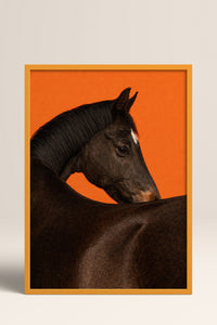 HOMEPACK Ahşap Çerçeveli Tablo Çerçeveli Poster Sanatsal Modern Duvar Dekoru BEK-8413