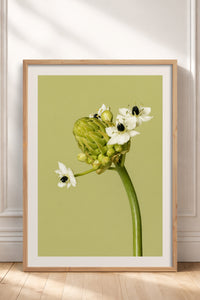 HOMEPACK Ahşap Çerçeveli Tablo Çerçeveli Poster Sanatsal Modern Duvar Dekoru BEK-8444