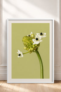 HOMEPACK Ahşap Çerçeveli Tablo Çerçeveli Poster Sanatsal Modern Duvar Dekoru BEK-8444